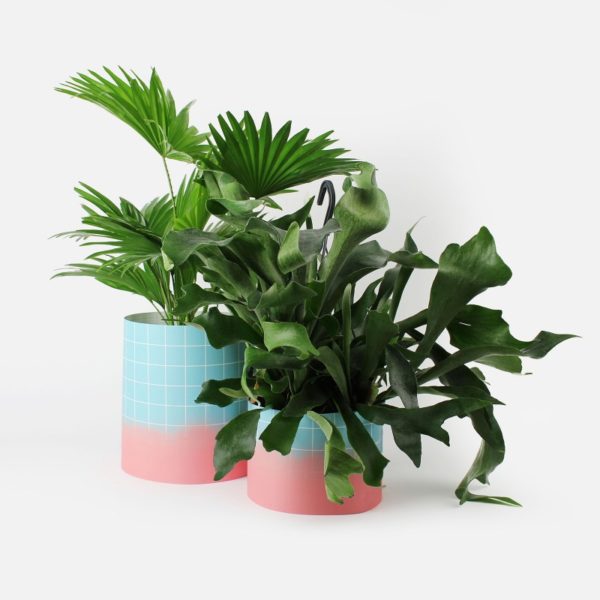 Cache-pot en papier L - Papier Tigre – Image 2