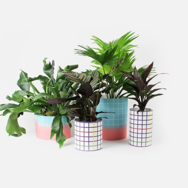 Cache-pot en papier L - Papier Tigre – Image 5