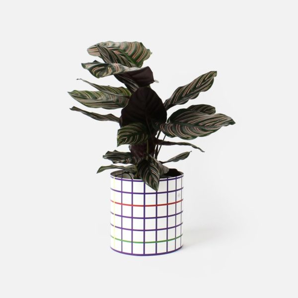 Cache-pot en papier S - Papier Tigre