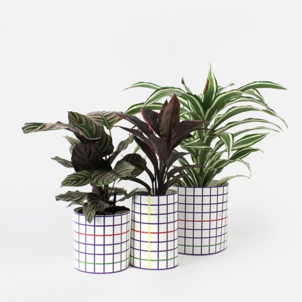 Cache-pot en papier S - Papier Tigre – Image 2