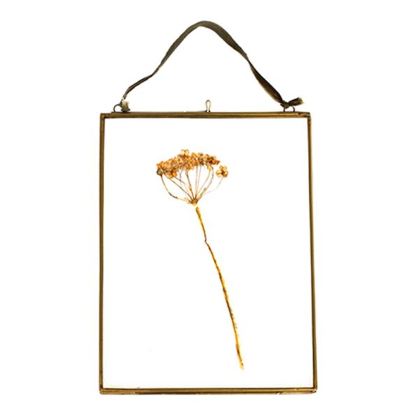Cadre photo "herbier" - 3 tailles