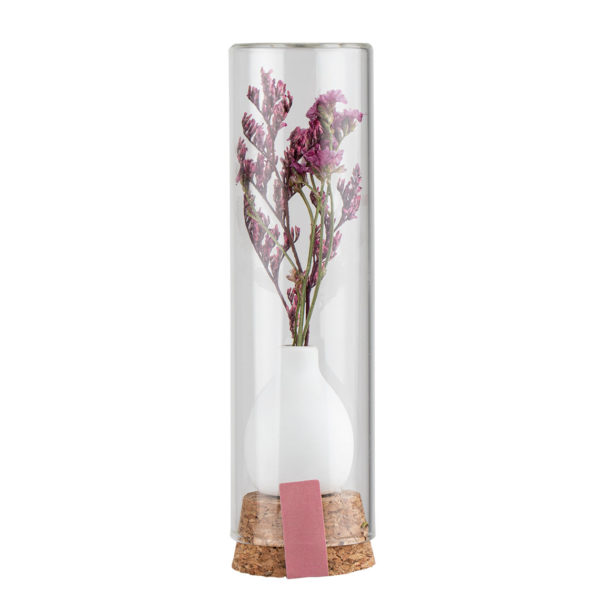 Mini bouquet fleur séchées sous cloche - Räder – Image 3
