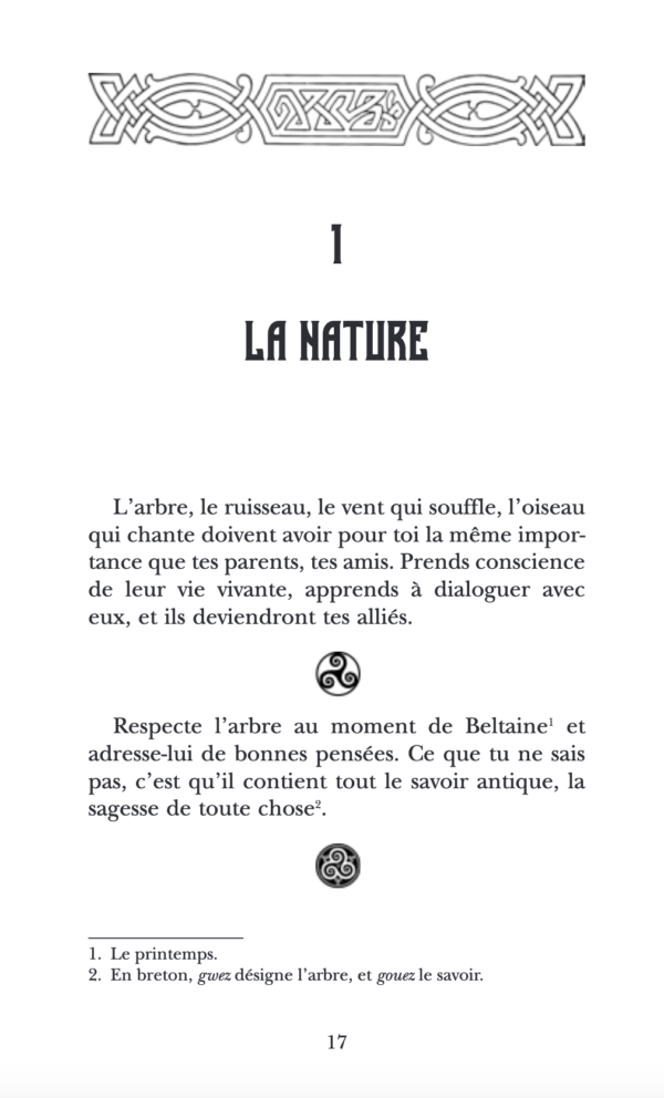 Sagesses druidiques - Jean-Paul Bourre – Image 3