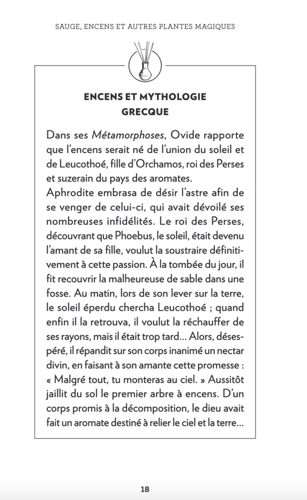 Sauge, encens et autres plantes magiques, c'est malin - Aurélie Aimé – Image 2