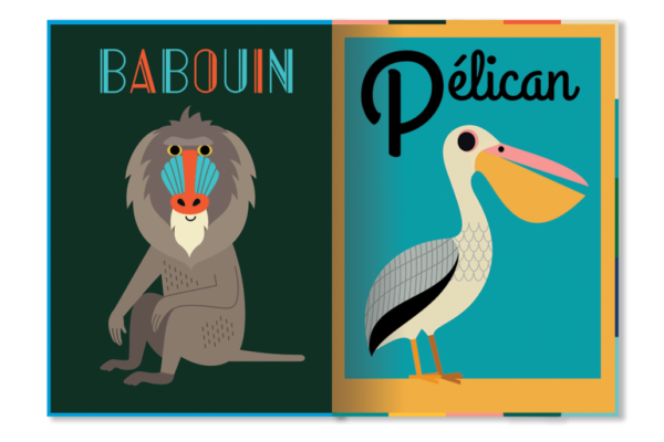 Animaux autour du monde (dès 1 an) - Marcel et Joachim – Image 4