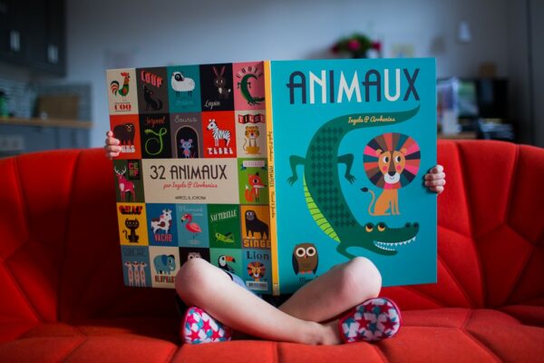 Animaux (dès 1 an) - Marcel et Joachim – Image 4