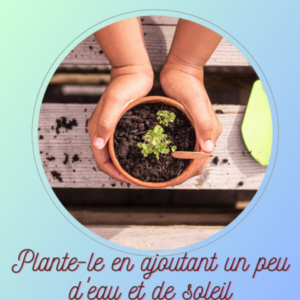 Crayon à planter – Image 3