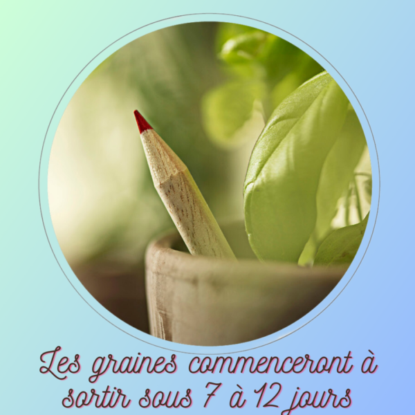 Crayon à planter – Image 4