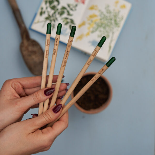 Crayon à planter