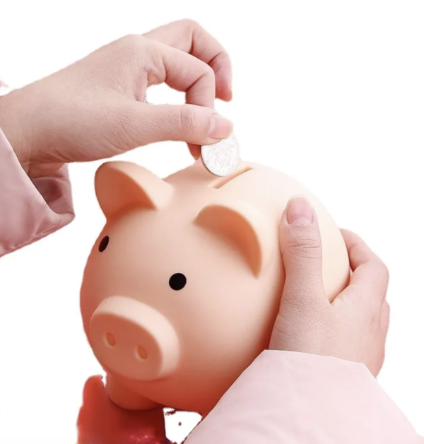 Tirelire cochon