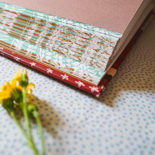 livre Raison et sentiments - Jane Austen et Margaux Motin – Image 5
