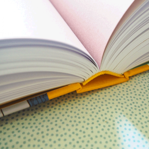 livre Raison et sentiments - Jane Austen et Margaux Motin – Image 3