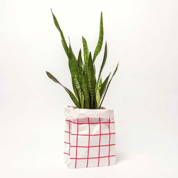 Grand sac de rangement en papier (plusieurs motifs) – Image 6