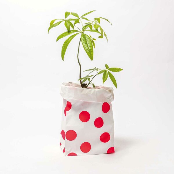 Grand sac de rangement en papier (plusieurs motifs) – Image 12