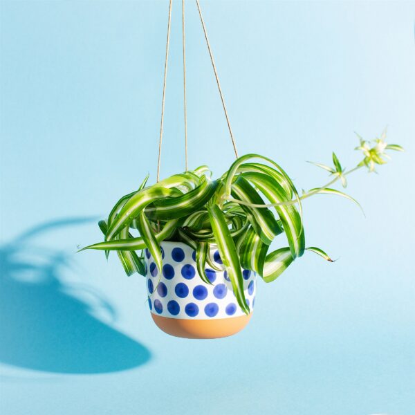 Cache-pot suspendu Naxos pois bleus - Sass and Belle – Image 3