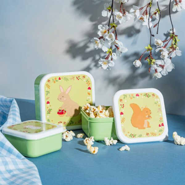 Lunch box Animaux de printemps - set de 3 – Image 4