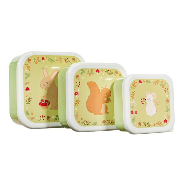 Lunch box Animaux de printemps - set de 3