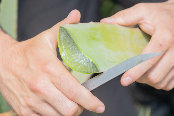 Sérum hydratant - Oden – Image 3